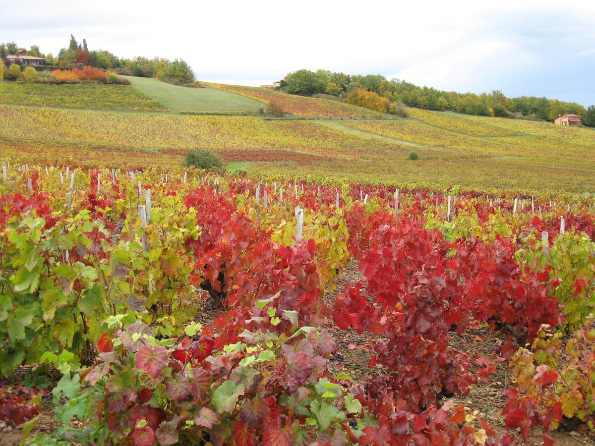 Domaine Des Aloets Moire Exterior foto