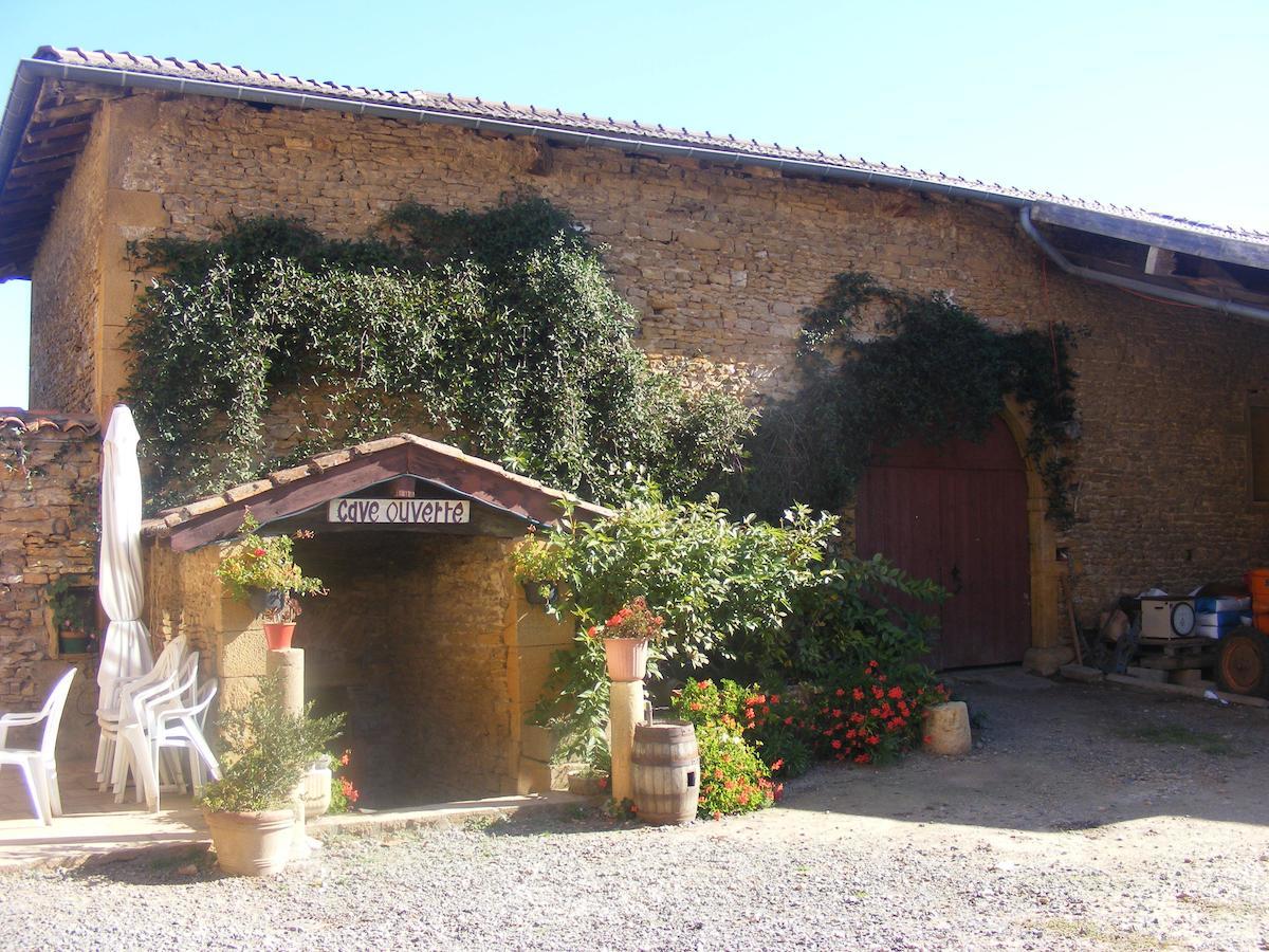 Domaine Des Aloets Moire Exterior foto